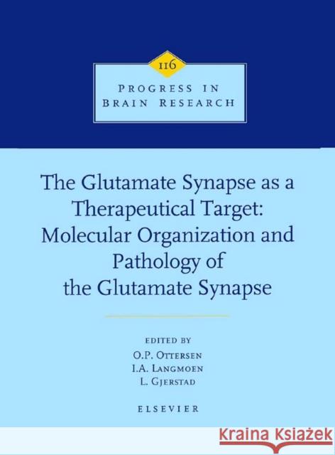 The Glutamate Synapse as a Therapeutic Target: Volume 116 Ottersen, O. P. 9780444827548 Elsevier Science