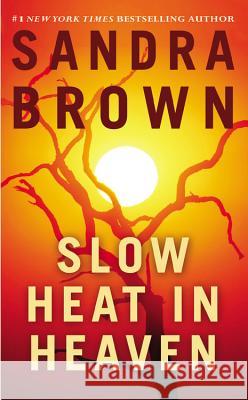 Slow Heat in Heaven Sandra Brown 9780446361736 Warner Books