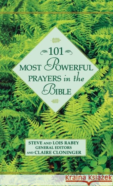 101 Most Powerful Prayers in the Bible Steve Rabey Lois Rabey Claire Cloninger 9780446532136 Faithwords