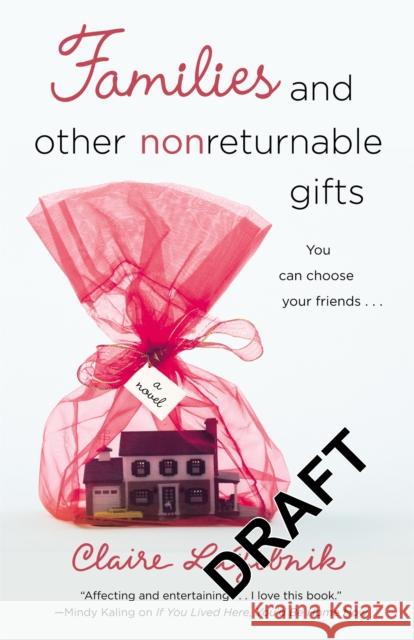 Families and Other Nonreturnable Gifts Claire Scovell LaZebnik 9780446555029 5 Spot