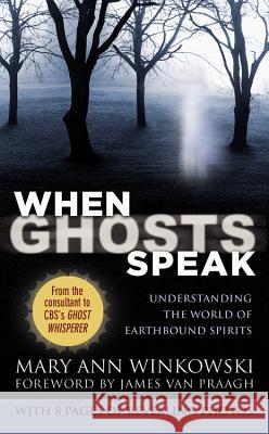 When Ghosts Speak: Understanding the World of Earthbound Spirits Mary Ann Winkowski 9780446581332 Time Warner Trade Publishing