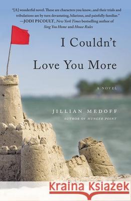 I Couldn't Love You More Jillian Medoff 9780446584623