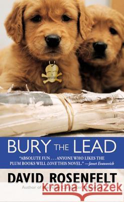 Bury the Lead David Rosenfelt 9780446612869 Little, Brown & Company