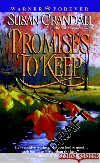 Promises to Keep Susan Crandall 9780446614115 LITTLE, BROWN BOOK GROUP