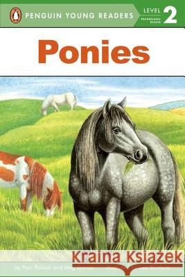 Ponies Pam Pollack Meg Belviso Lisa Bonforte 9780448425245 