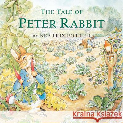 The Tale of Peter Rabbit Beatrix Potter 9780448435213 