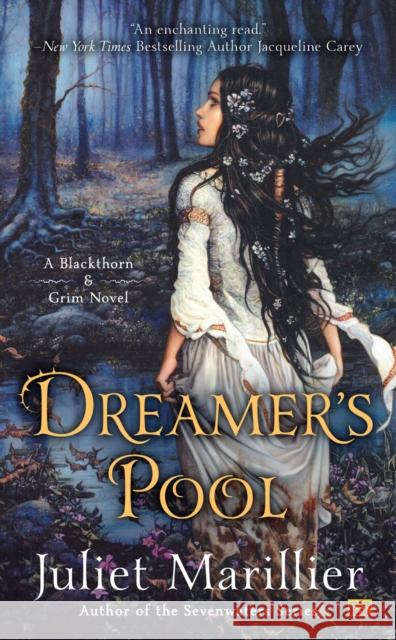 Dreamer's Pool Juliet Marillier 9780451467003