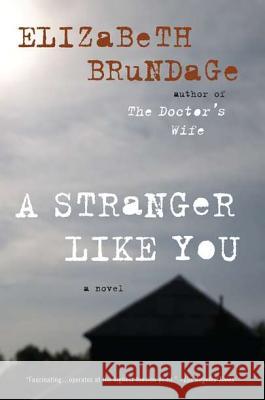 A Stranger Like You Elizabeth Brundage 9780452297098