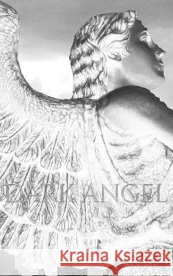 Dark Angel Writing Drawing Journal: Dark Angel Writing Drawing Journal Huhn, Michael 9780464226444