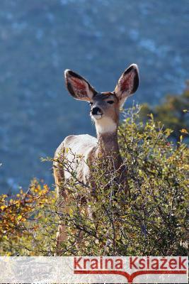 Kids Deer Journal: Rocky Mountain Mule Deer Journal or Notebook Wunderlich, Jordan 9780464694434