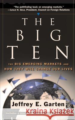 The Big Ten Jeffrey E. Garten 9780465006861 HarperCollins Publishers