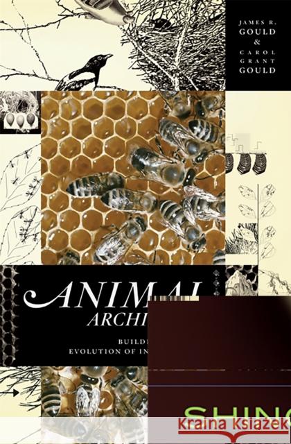 Animal Architects: Building and the Evolution of Intelligence Gould, James L. 9780465028382 Basic Books