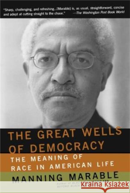 The Great Wells of Democracy: The Meaning of Race in American Life Marable, Manning 9780465043941 Basic Books