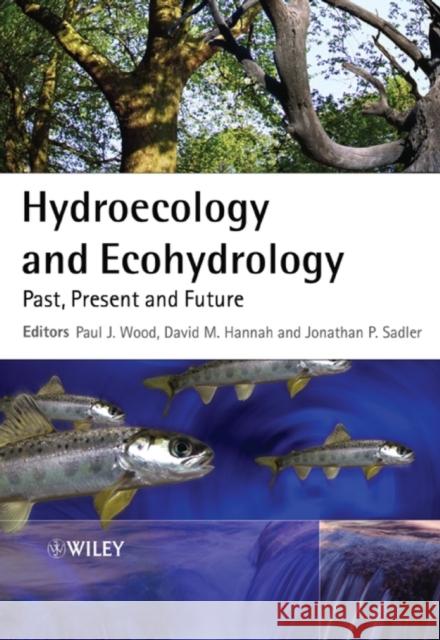 Hydroecology and Ecohydrology: Past, Present and Future Wood, Paul J. 9780470010174 John Wiley & Sons