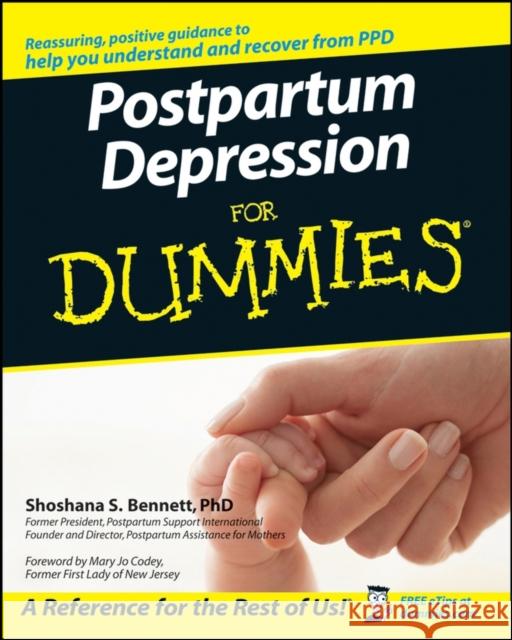Postpartum Depression for Dummies Bennett, Shoshana S. 9780470073353 0