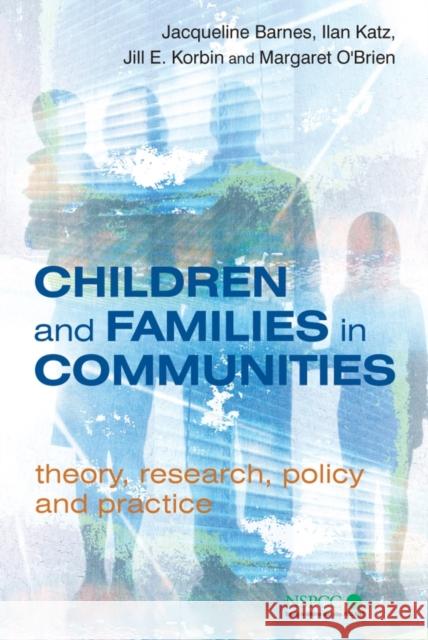 Children and Families in Communities: Theory, Research, Policy and Practice Barnes, Jacqueline 9780470093573 John Wiley & Sons