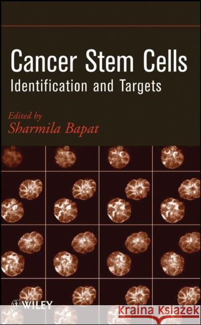 Cancer Stem Cells: Identification and Targets Bapat, Sharmila A. 9780470122013 Wiley-Interscience