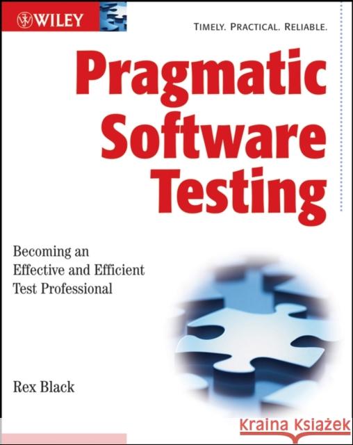 Pragmatic Software Testing: Becoming an Effective and Efficient Test Professional Black, Rex 9780470127902 0