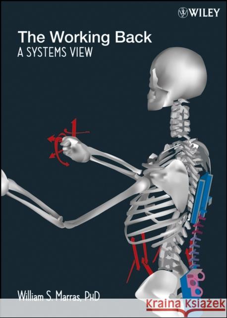 The Working Back: A Systems View Marras, William S. 9780470134054 Wiley-Interscience