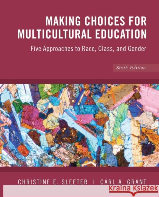 Making Choices for Multicultural Education: Five Approaches to Race, Class and Gender Sleeter, Christine E. 9780470383698