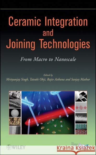 Ceramic Integration and Joining Technologies: From Macro to Nanoscale Singh, Mrityunjay 9780470391228