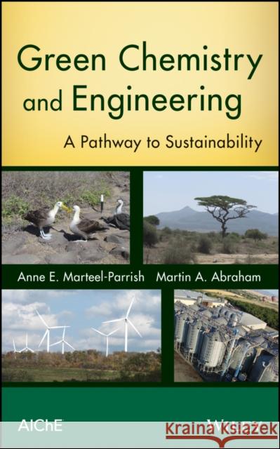 Green Chemistry and Engineering Abraham, Martin a. 9780470413265