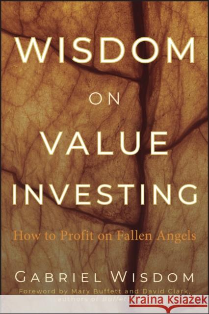 Value Investing Wisdom, Gabriel 9780470457306 John Wiley & Sons