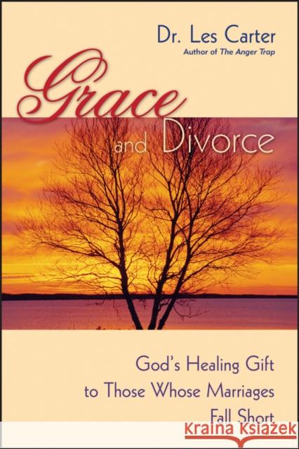 Grace and Divorce: God's Healing Gift to Those Whose Marriages Fall Short Carter, Les 9780470490112 Jossey-Bass