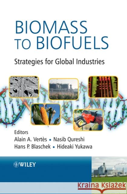 Biomass to Biofuels: Strategies for Global Industries Vertes, Alain A. 9780470513125 JOHN WILEY AND SONS LTD