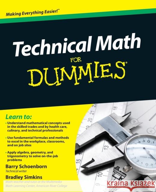Technical Math For Dummies Barry Schoenborn 9780470598740 