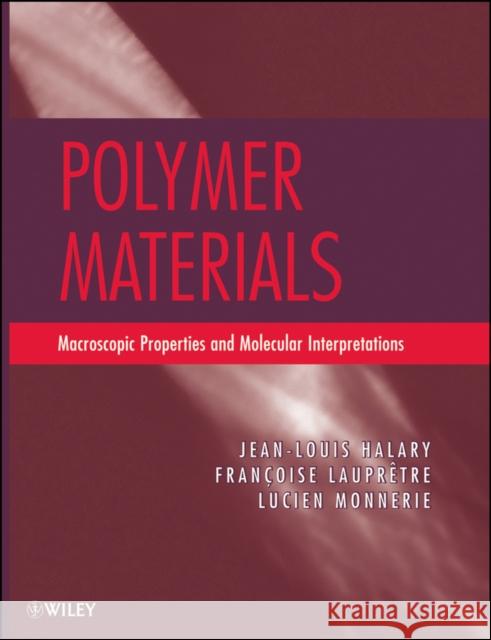 Polymer Materials: Macroscopic Properties and Molecular Interpretations Halary, Jean Louis 9780470616192