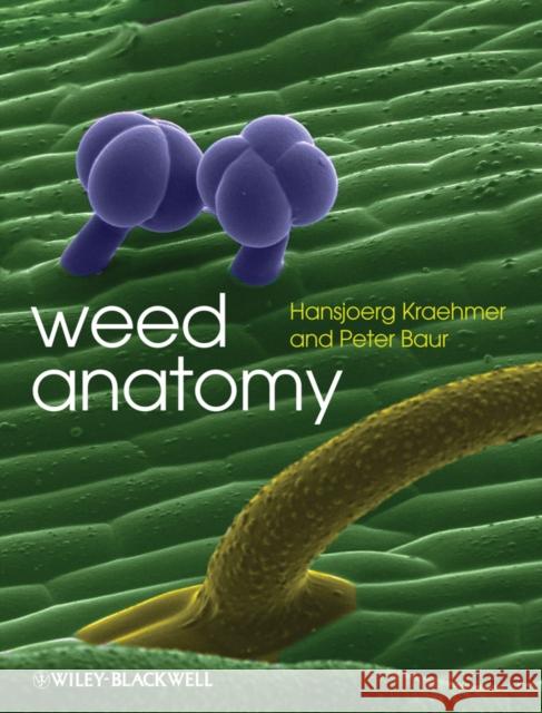 Weed Anatomy Hansjoerg Kraehmer Peter Baur 9780470659861 Wiley-Blackwell