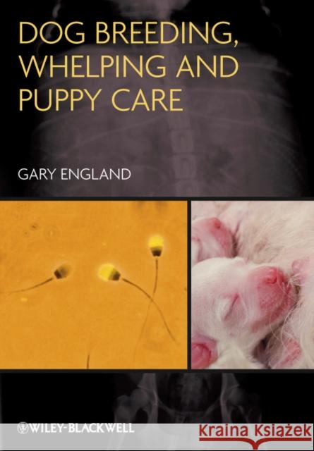 Dog Breeding, Whelping and Puppy Care Gary England 9780470673133