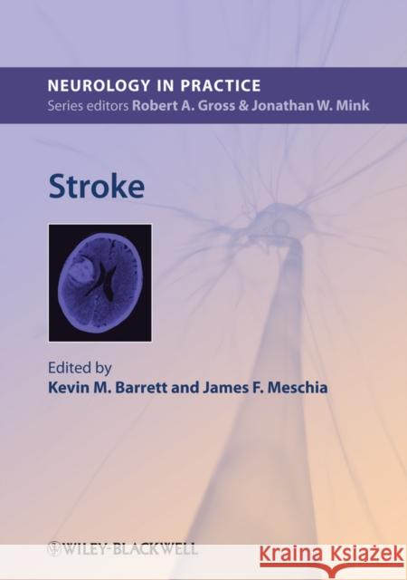 Stroke Kevin M. Barrett James F. Meschia 9780470674369