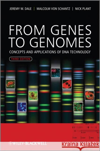 From Genes to Genomes: Concepts and Applications of DNA Technology, 3rd Edition Dale, Jeremy W. 9780470683859