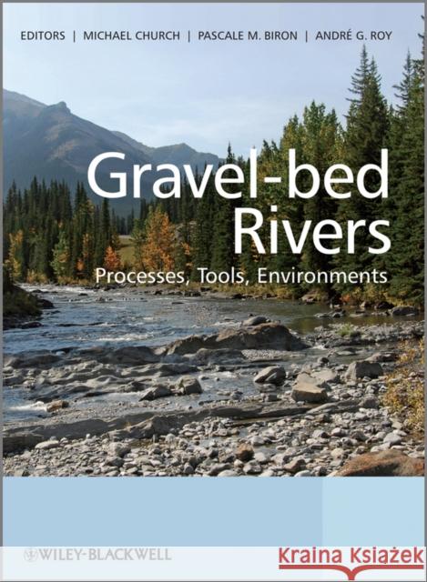 Gravel Bed Rivers: Processes, Tools, Environments Church, Michael 9780470688908