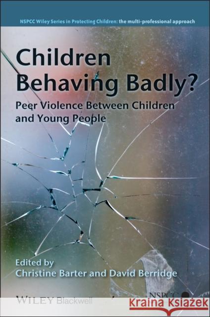 Children Behaving Badly?: Peer Violence Between Children and Young People Barter, Christine 9780470727058