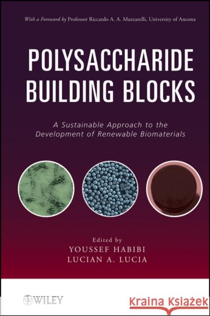 Polysaccharide Building Blocks: A Sustainable Approach to the Development of Renewable Biomaterials Lucia, Lucian A. 9780470874196 John Wiley & Sons