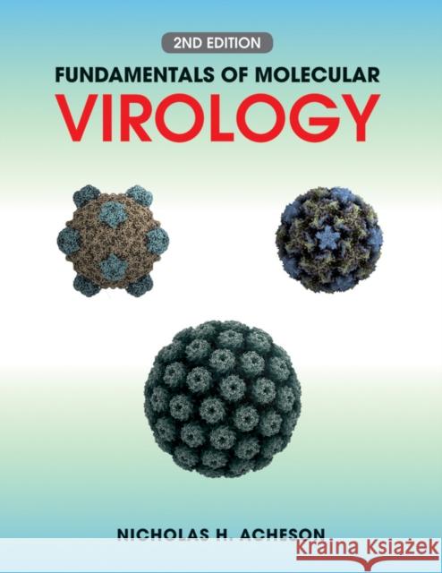 Fundamentals of Molecular Virology Nicholas H Acheson 9780470900598