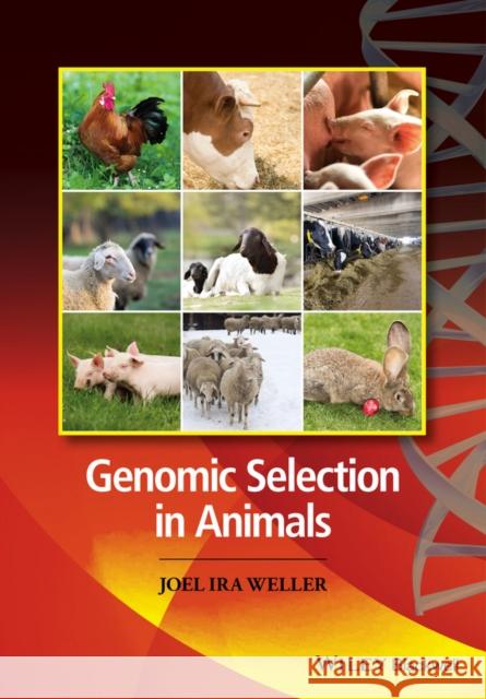 Genomic Selection in Animals Weller, Joel 9780470960073 John Wiley & Sons
