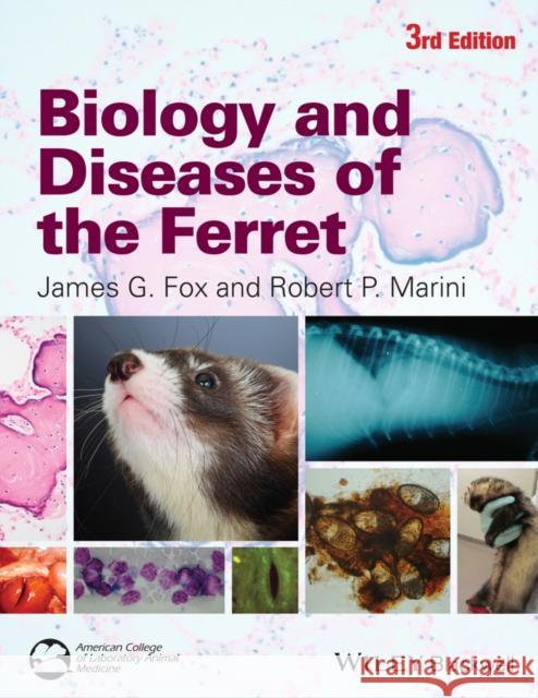 Biology and Diseases of the Ferret  9780470960455 John Wiley & Sons