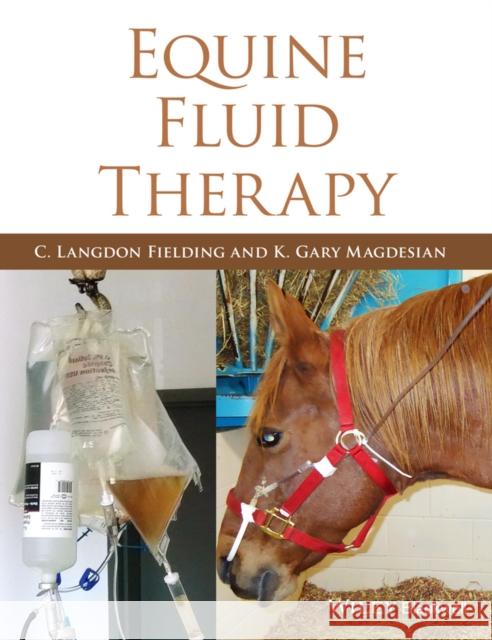 Equine Fluid Therapy  9780470961384 John Wiley & Sons