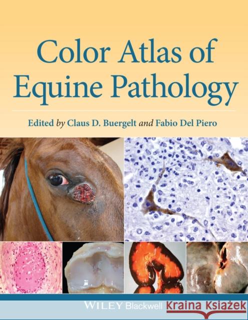 Color Atlas of Equine Pathology  9780470962848 John Wiley & Sons