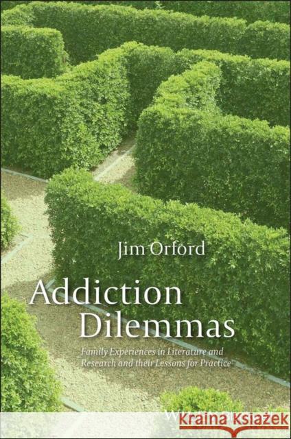 Addiction Dilemmas: Family Experiences from Literature and Research and Their Lessons for Practice Orford, Jim 9780470977026