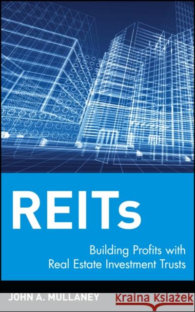 Reits: Building Profits with Real Estate Investment Trusts Mullaney, John A. 9780471193241