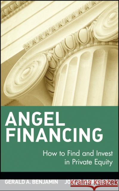 Angel Financing: How to Find and Invest in Private Equity Benjamin, Gerald A. 9780471350859 John Wiley & Sons
