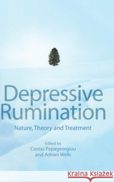 Depressive Rumination: Nature, Theory and Treatment Papageorgiou, Costas 9780471486923 John Wiley & Sons