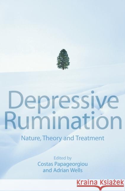 Depressive Rumination: Nature, Theory and Treatment Papageorgiou, Costas 9780471486930