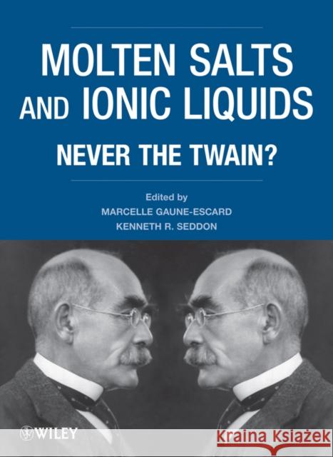 Molten Salts and Ionic Liquids: Never the Twain? Gaune-Escard, Marcelle 9780471773924 John Wiley & Sons