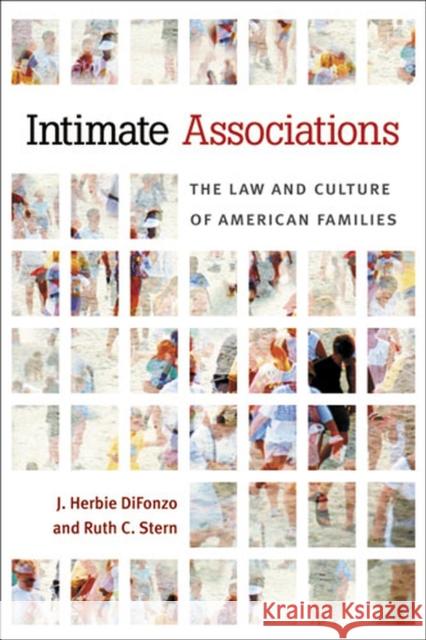 Intimate Associations: The Law and Culture of American Families Difonzo, J. Herbie 9780472035380 University of Michigan Press
